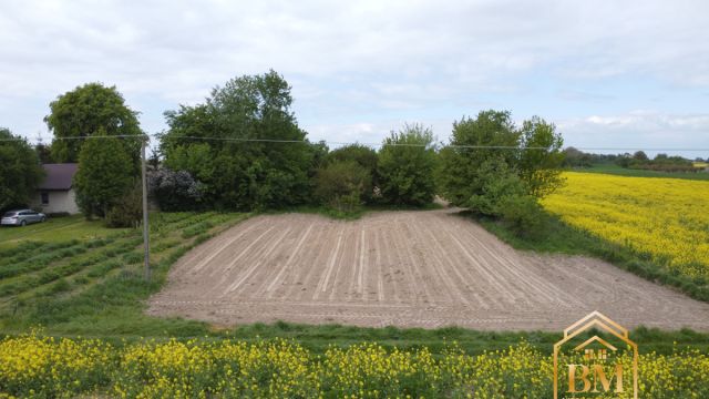 Działka siedliskowa Płouszowice-Kolonia. Zdjęcie 4