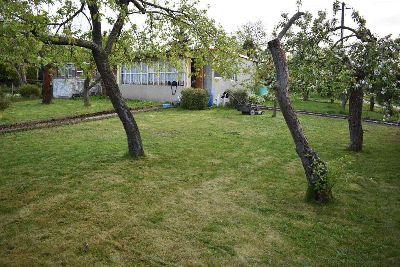 Działka rod Gniezno, ul. Powstańców Wlkp.. Zdjęcie 8