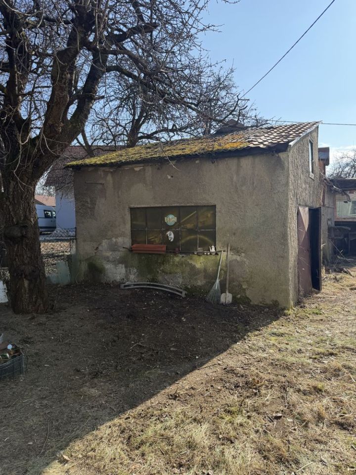 bliźniak Uniegoszcz. Zdjęcie 2