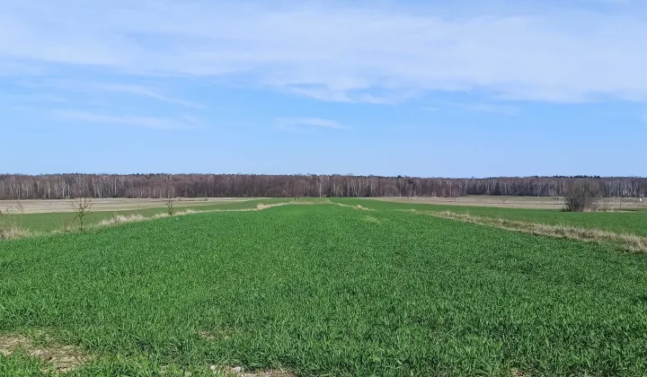 Działka rolno-budowlana Bukowiec, ul. Dolna
