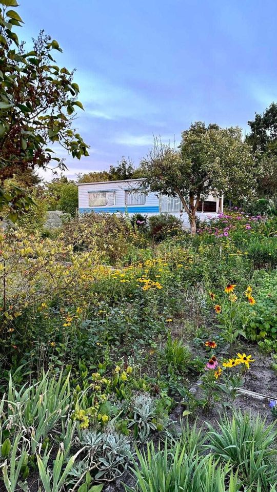 Działka rod Zielona Góra Zacisze. Zdjęcie 8