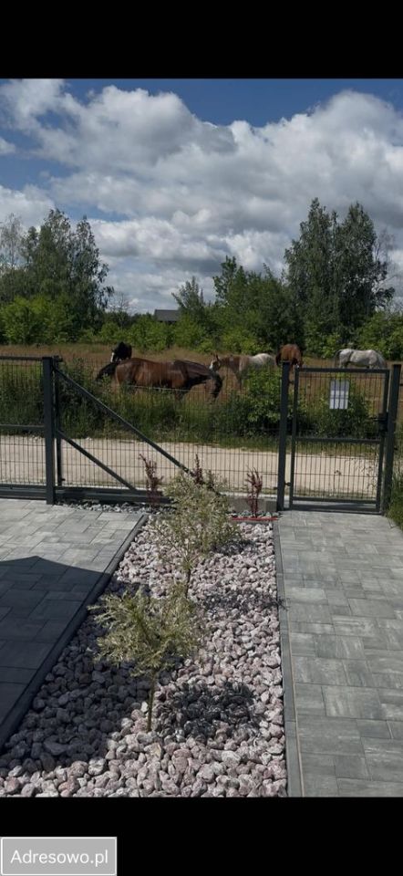 dom wolnostojący, 5 pokoi Łódź Widzew. Zdjęcie 6