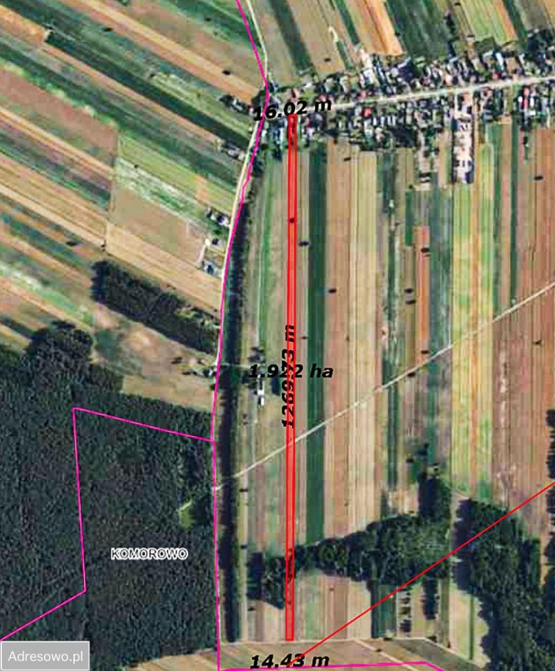 dom wolnostojący, 3 pokoje Rząśnik, ul. Jesionowa. Zdjęcie 5
