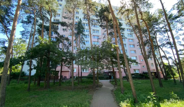Mieszkanie 3-pokojowe Legionowo, ul. Leśna