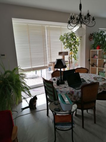 dom wolnostojący, 6 pokoi Aleksandrów Łódzki Franin, Kombatantów. Zdjęcie 27