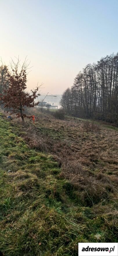 Działka rolna Margonin. Zdjęcie 6