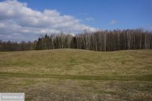 Działka rekreacyjna Dźwierzuty. Zdjęcie 3