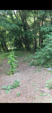 Działka rolno-budowlana Sądów. Zdjęcie 1