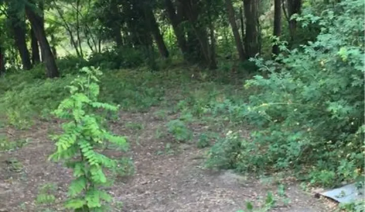 Działka rolno-budowlana Sądów