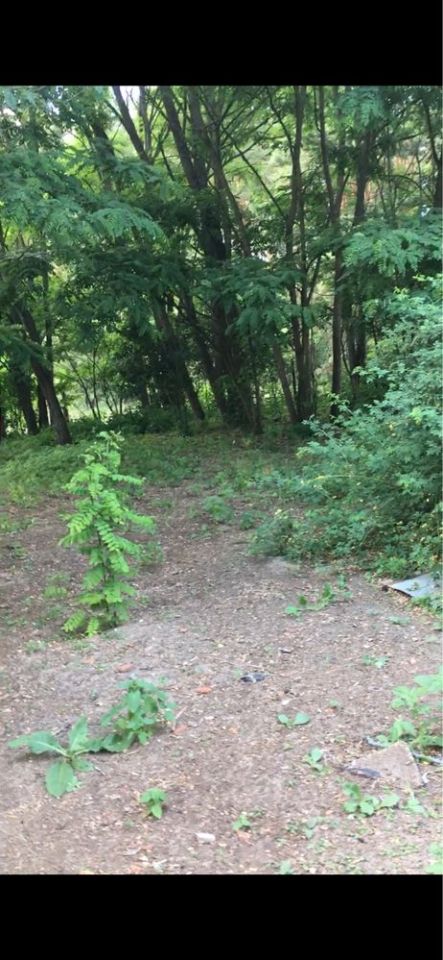 Działka rolno-budowlana Sądów. Zdjęcie 1