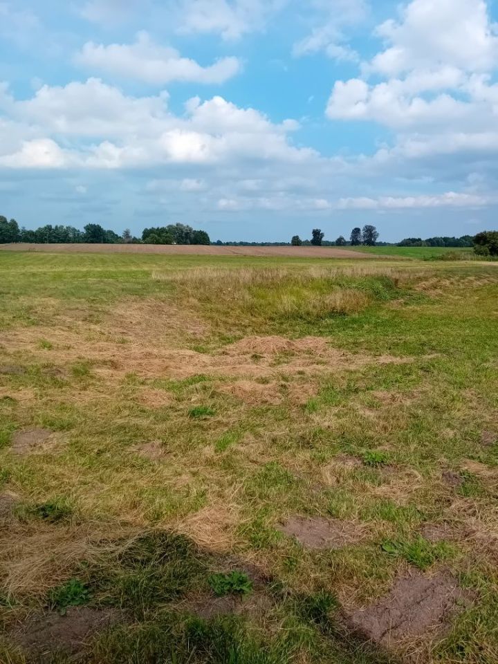 Działka rolna Giełczynek. Zdjęcie 3