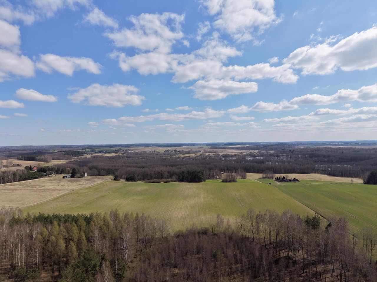 Działka budowlana Rybno, ul. Kolonia. Zdjęcie 3