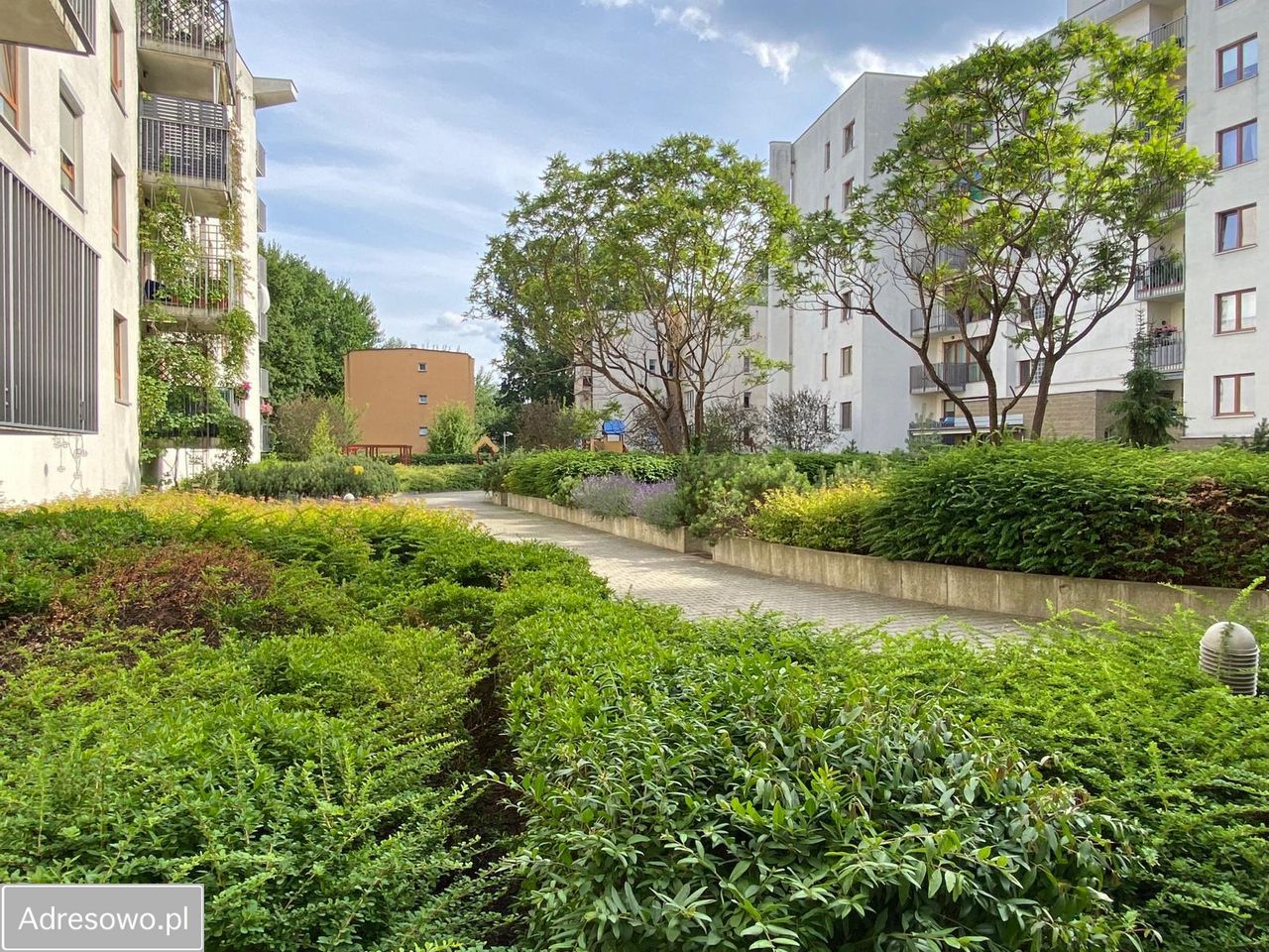 Mieszkanie 2-pokojowe Warszawa Saska Kępa, ul. Zwycięzców. Zdjęcie 4