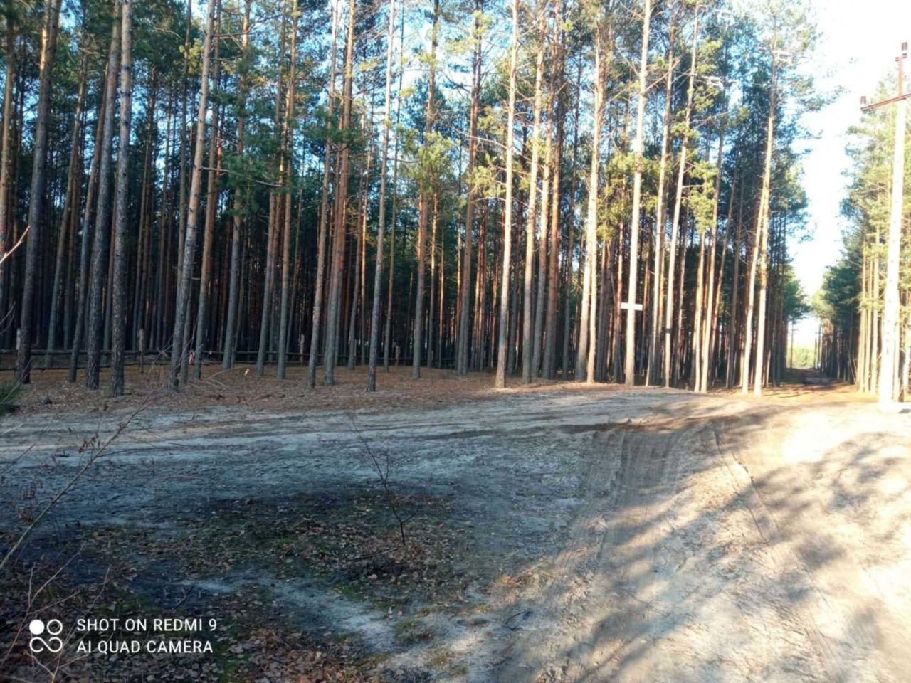 Działka leśna Karolinów. Zdjęcie 5