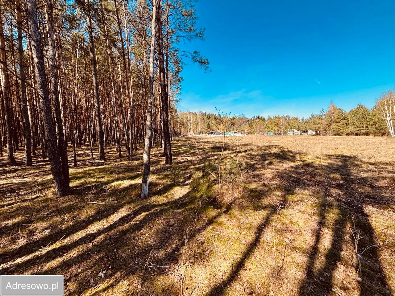 Działka budowlana Ostrów Mazowiecka, ul. Romualda Traugutta. Zdjęcie 5