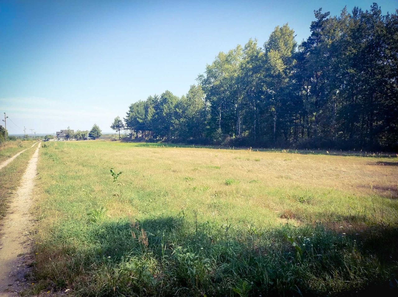 Działka budowlana Końskie, ul. Gimnazjalna. Zdjęcie 4