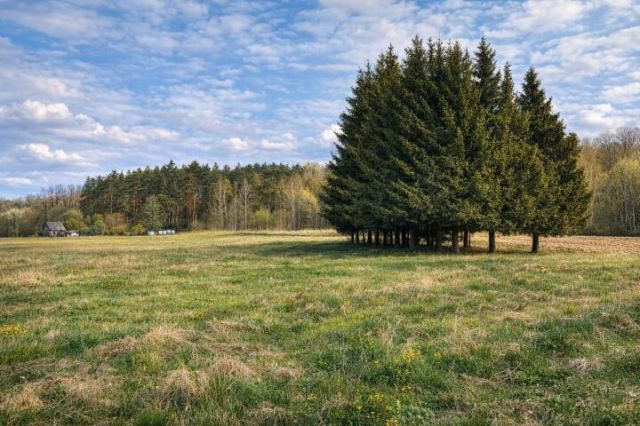 dom wolnostojący, 3 pokoje Grabownica Starzeńska. Zdjęcie 4