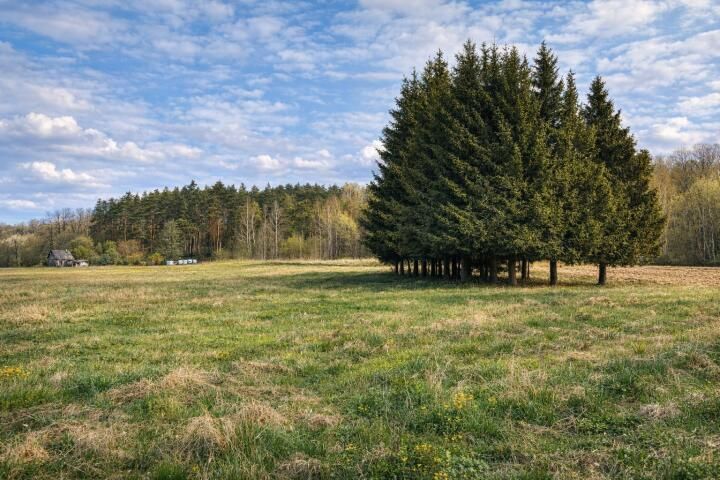 dom wolnostojący, 3 pokoje Grabownica Starzeńska. Zdjęcie 4