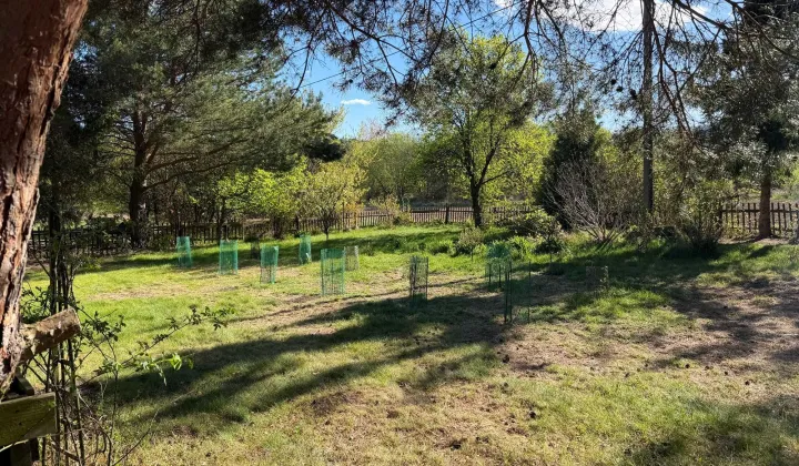 Działka rekreacyjna Sulistrowiczki