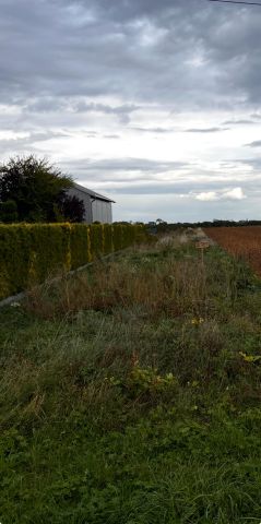 Działka rolno-budowlana Drwinia, Drwinia. Zdjęcie 1