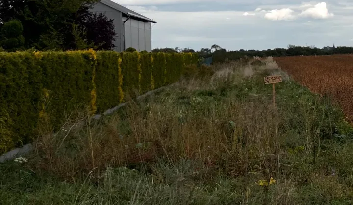 Działka rolno-budowlana Drwinia, Drwinia