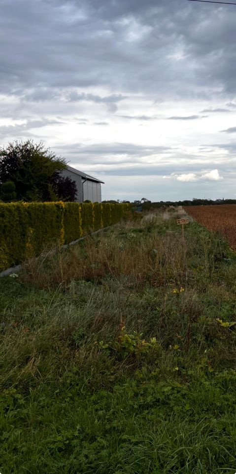Działka rolno-budowlana Drwinia, Drwinia. Zdjęcie 1
