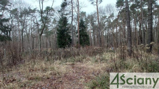 Działka leśna Warszawa Anin, ul. Tulipanowa. Zdjęcie 1