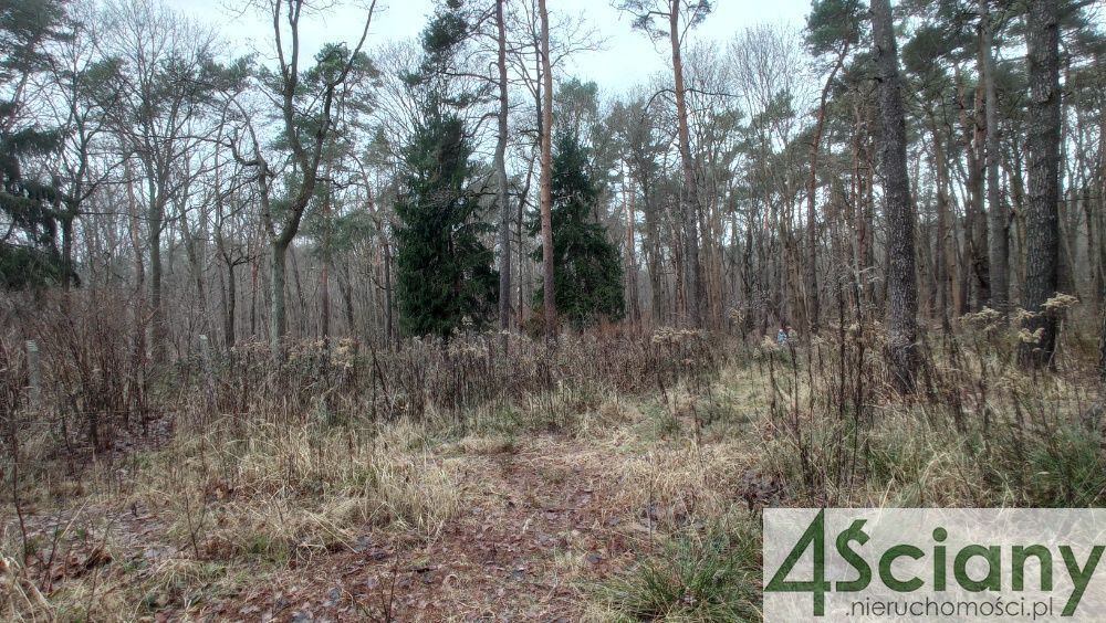 Działka leśna Warszawa Anin, ul. Tulipanowa. Zdjęcie 1