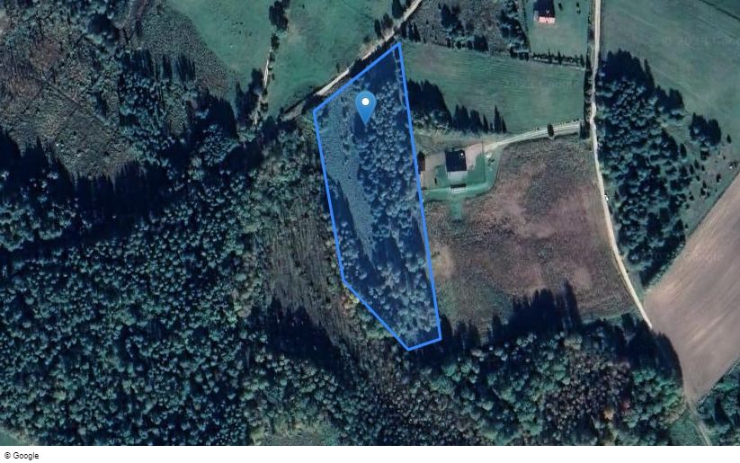 Działka rekreacyjna Florczaki. Zdjęcie 10