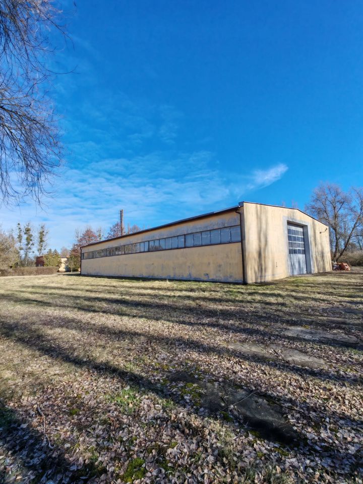 Hala/magazyn Rogoźno, ul. Rolna. Zdjęcie 6