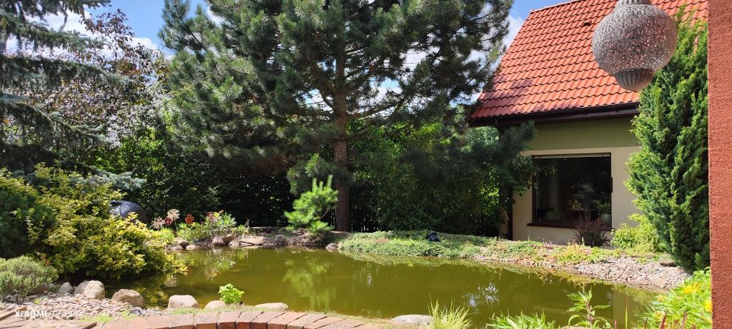 dom wolnostojący, 5 pokoi Kobylanka. Zdjęcie 8