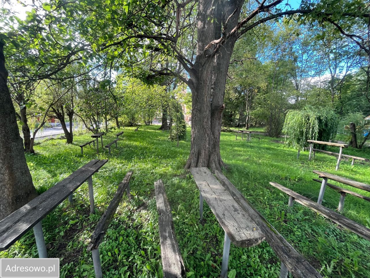 Lokal Dziesław. Zdjęcie 7