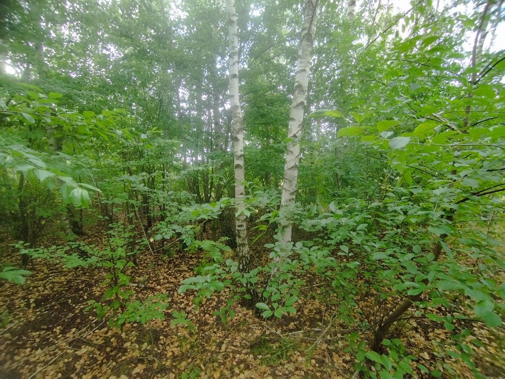 Działka budowlana Tomczyn. Zdjęcie 13