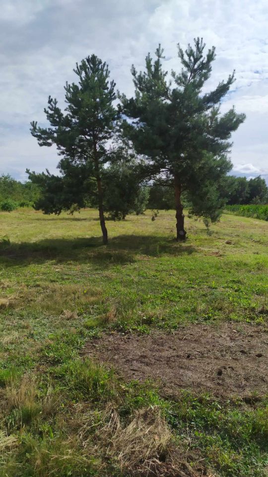 Działka rolna Jadachy Hermanówka. Zdjęcie 4