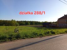 Działka rolno-budowlana Rączna. Zdjęcie 1