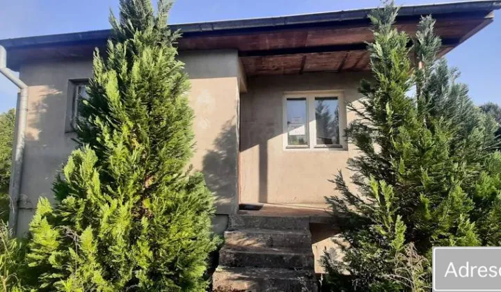 Działka rod Drzewce