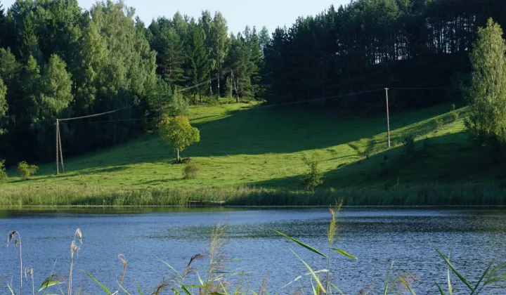 Działka siedliskowa Osinki