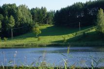 Działka siedliskowa Osinki