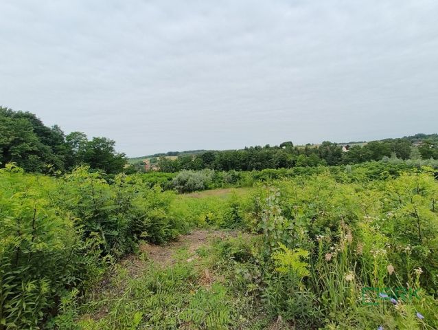 Działka inna Pszów, ul. Karola Miarki. Zdjęcie 2