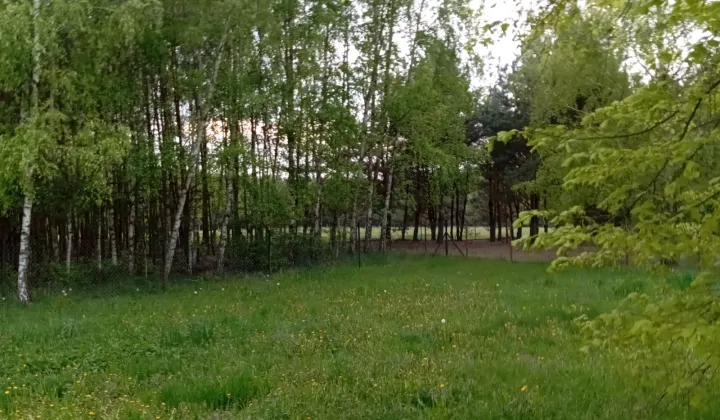 Działka rolno-budowlana Kazimierzów