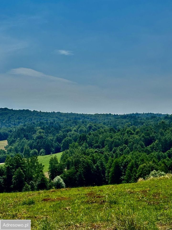 Działka siedliskowa Lipnica Dolna. Zdjęcie 8