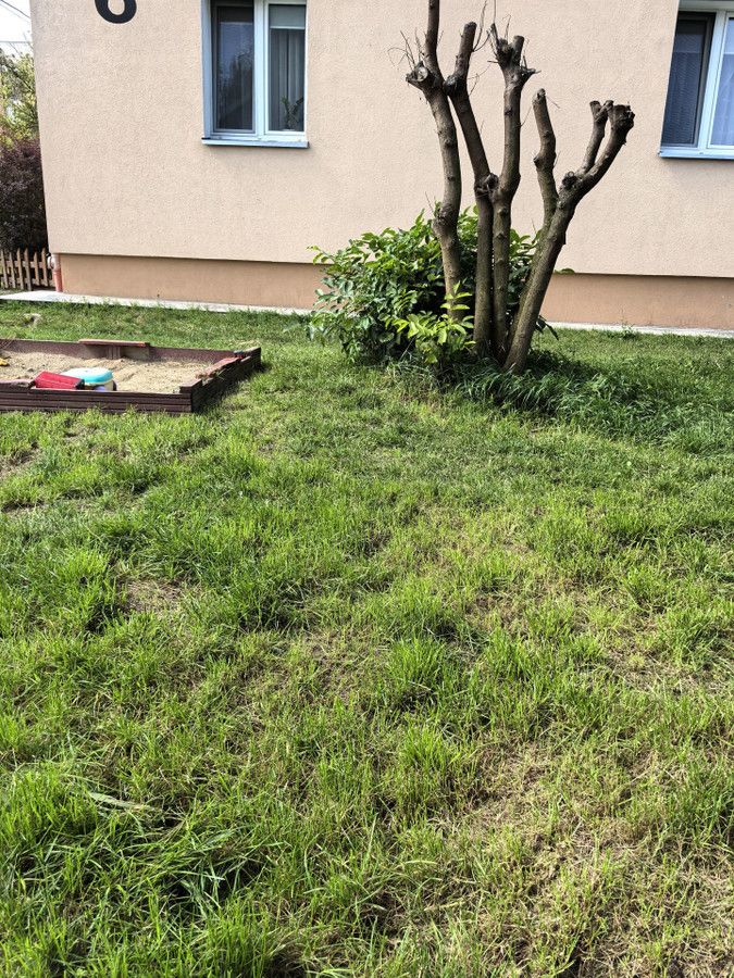Mieszkanie 4-pokojowe Grudziądz, ul. Tytoniowa. Zdjęcie 34