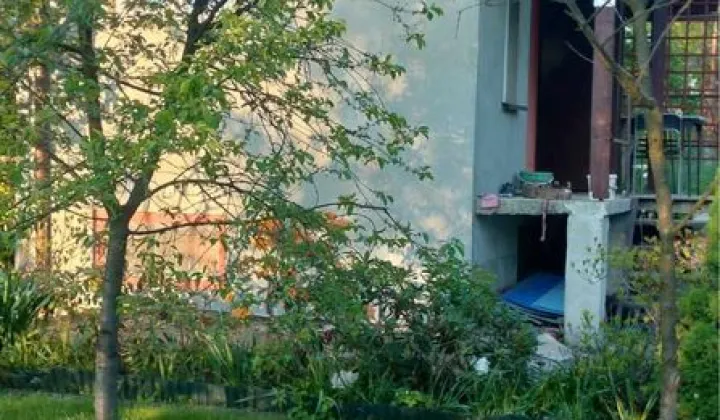 Działka rod Tarnów, ul. Elektryczna