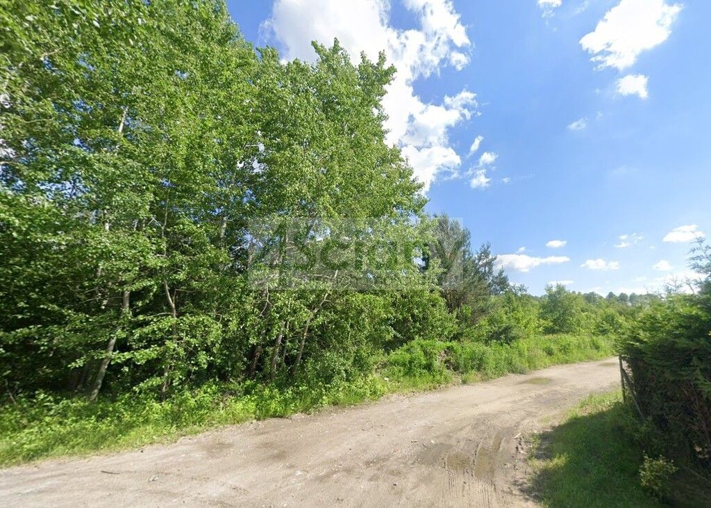 Działka budowlana Szczęsne. Zdjęcie 1