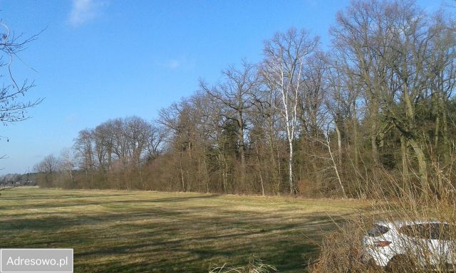 Działka budowlana Jarantów-Kolonia. Zdjęcie 1