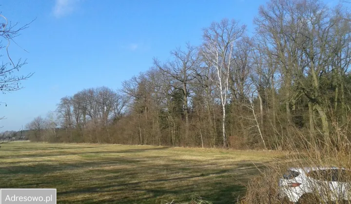 Działka budowlana Jarantów-Kolonia