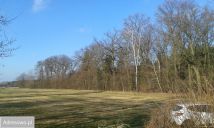 Działka budowlana Jarantów-Kolonia