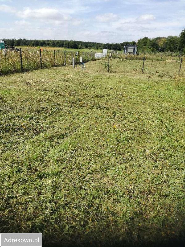 Działka rekreacyjna Wierzchowo. Zdjęcie 5