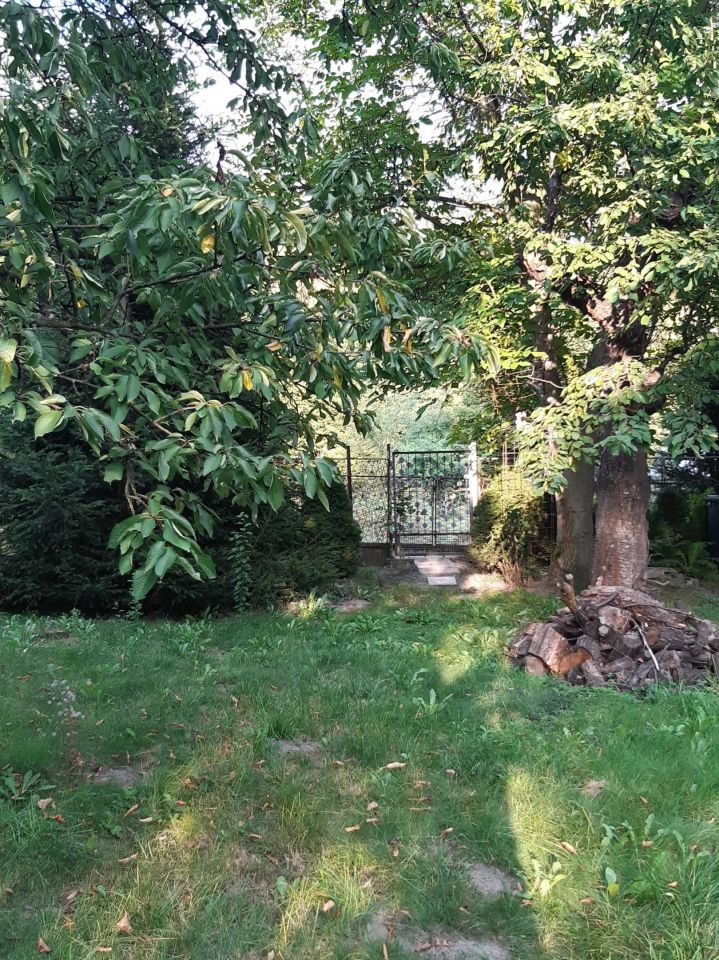 Działka rod Czeladź Kolonia Rożka, ul. Węglowa. Zdjęcie 2