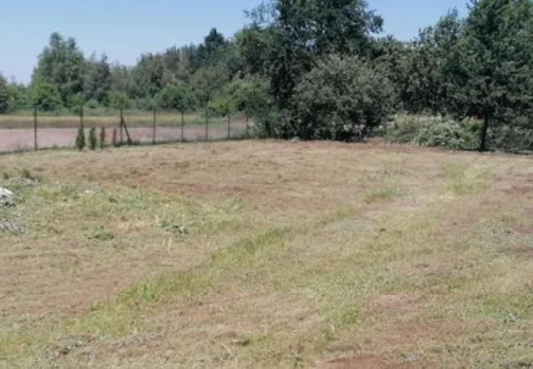 Działka budowlana Lasowice. Zdjęcie 6